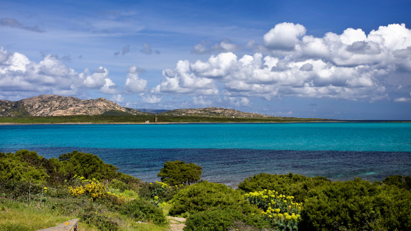 STINTINO, HAVSVANDRING, SARDISK M�LTID